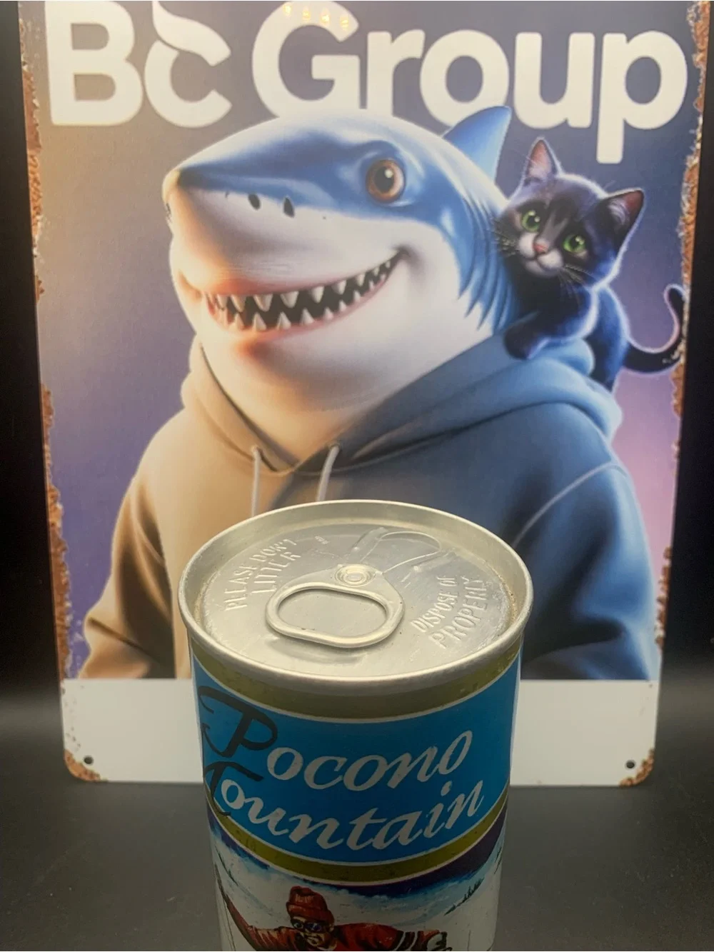 Vintage Beer Can Pocono Mountain Premium Beer Steel Can Pull Tab Empty Skiing